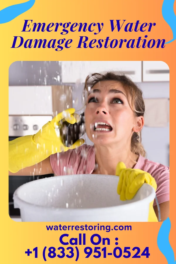Emergency Water Damage Restoration in Bamberg, SC