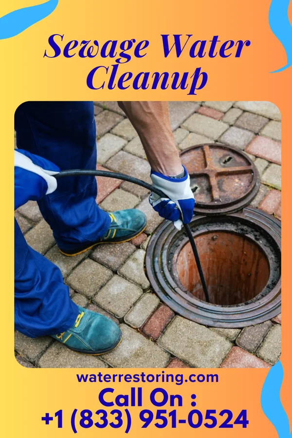Sewage Water Cleanup in Bamberg, SC